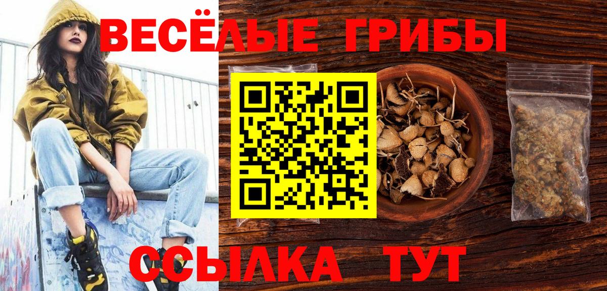 Псилоцибиновые грибы мухоморы  Псилоцибиновые грибы Magic Shrooms  даркнет сайт  Иваново  Вход с VPN 