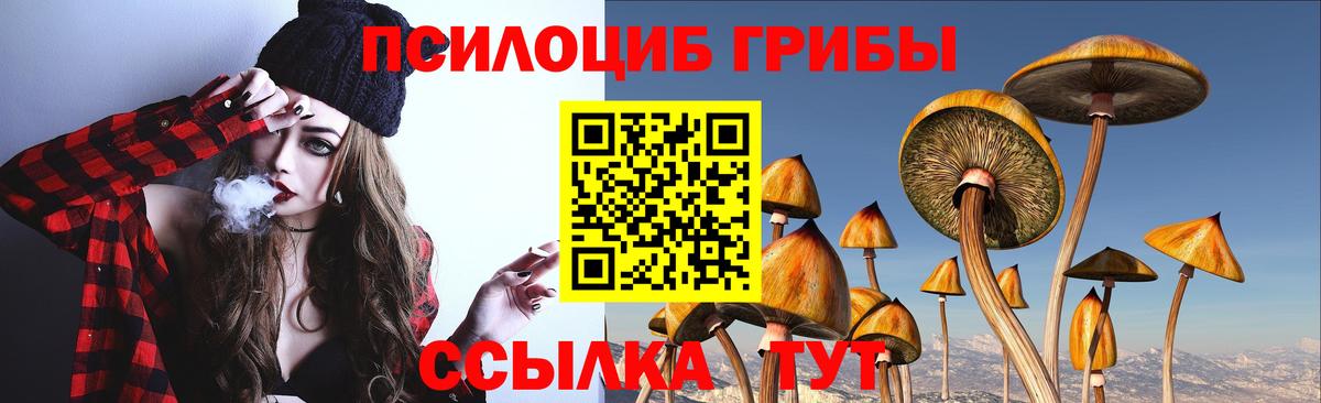 Галлюциногенные грибы Psilocybine cubensis Иваново